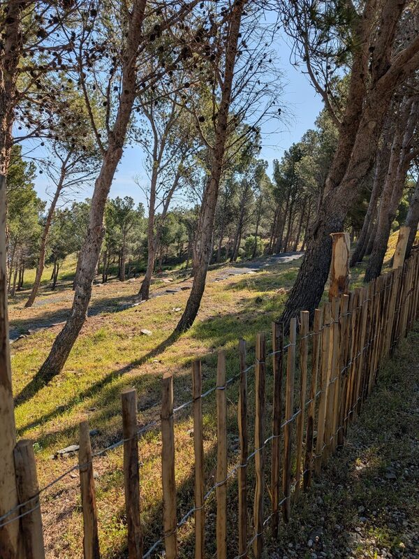 Bienvenue au Camping Cap Peyrefite entre mer et montagne